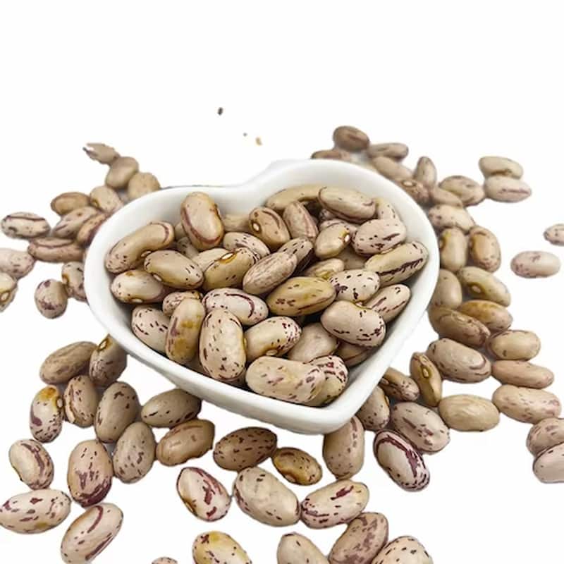 خرید لوبیا چیتی درشت + قیمت فروش استثنایی